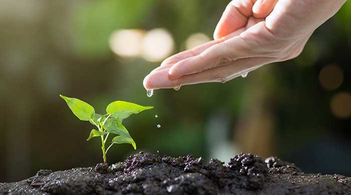 especializacion gestion ambiental